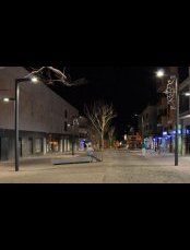 Installation de colonnes (Daniel Padrón) 2